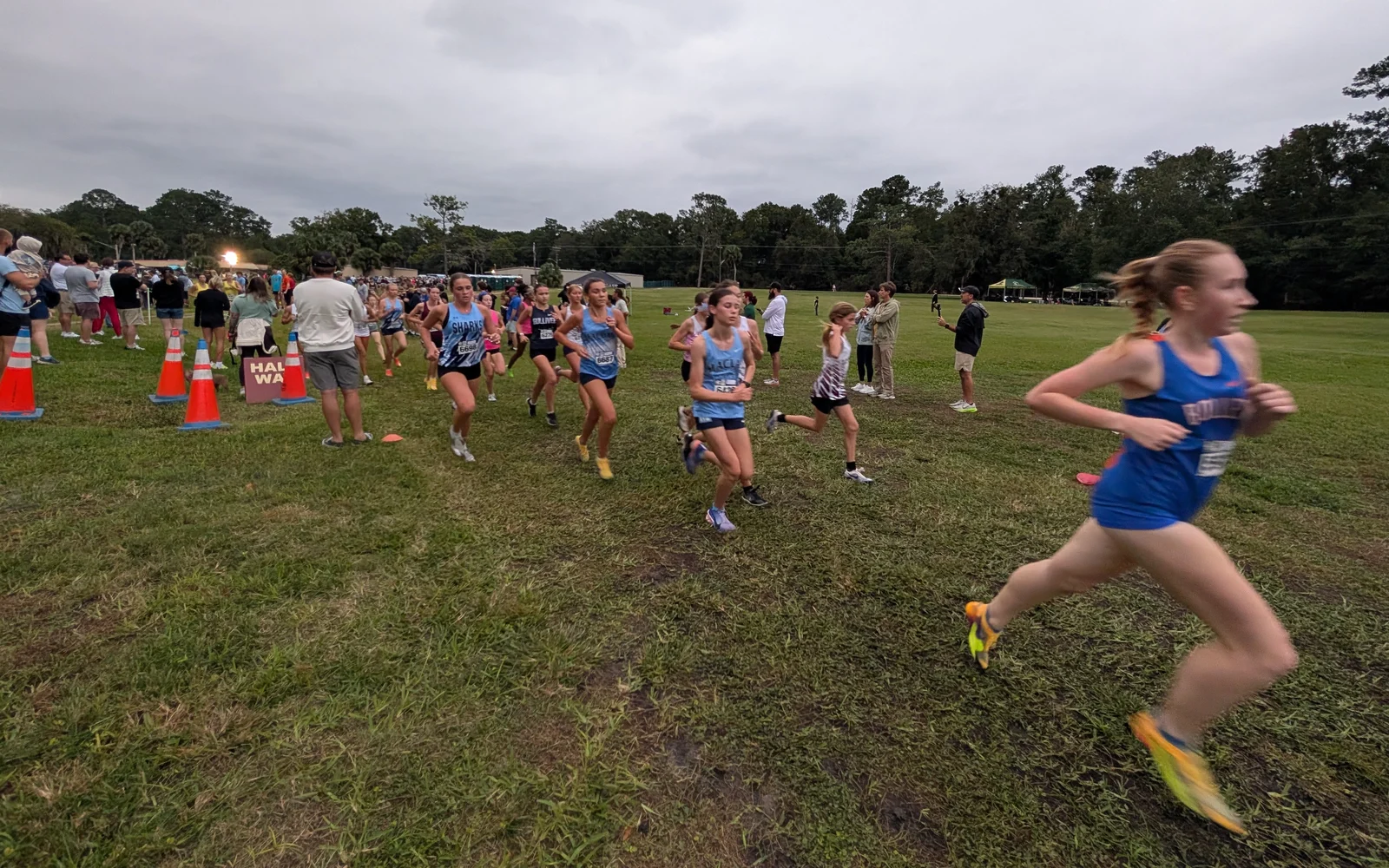 Week 10 Girls Team Top 10: Florida Cross Country Rankings