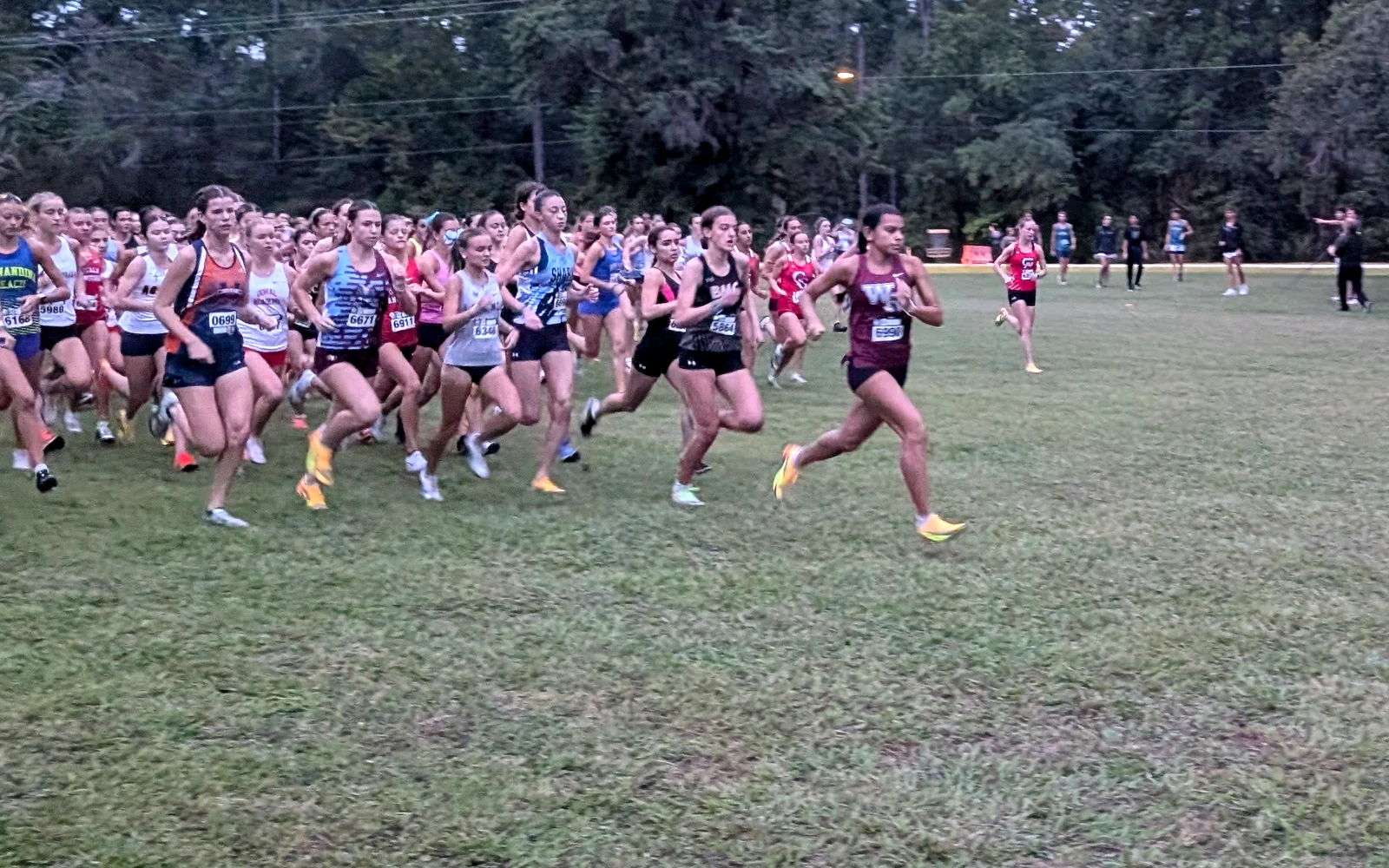 Week 9 Girls Top 10: Florida Cross Country Rankings