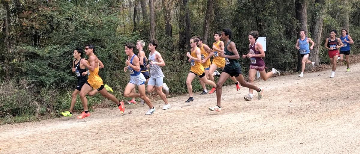 Week 1 Boys Top 10: Florida Cross Country Rankings