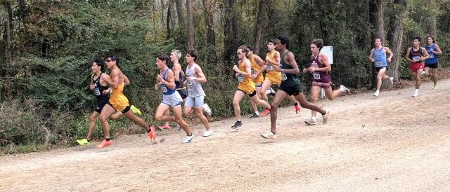 Week 1 Boys Top 10: Florida Cross Country Rankings